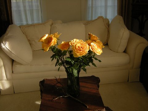 Flowers in living room